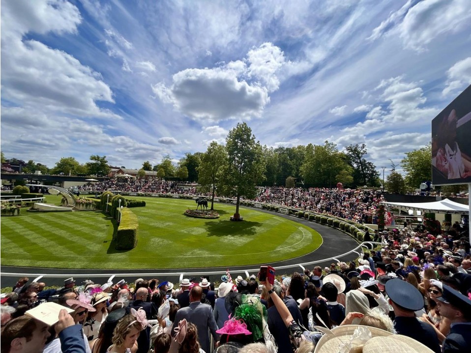Panorámica de juegos